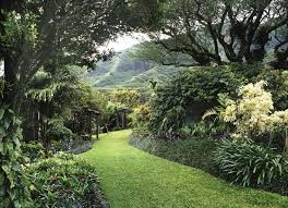 the best botanical gardens on oahu