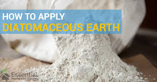 use diatomaceous earth for pest control