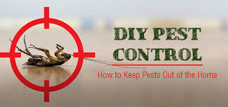 Most people are capable of following a pest management strategy. Diy Pest Control Ideas Do It Yourself Pest Control In Home