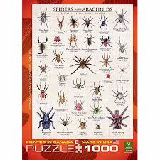 Eurographics Spiders And Arachnids 1000 Piece Puzzle