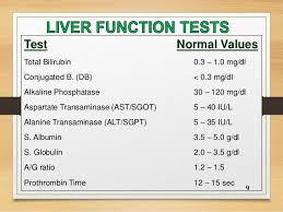 Liver Function Test Reference Range Liver Function Test