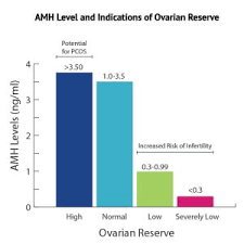 amh level and your ovarian reserve