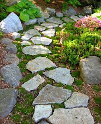 Stepping Stone Walkway With Moss