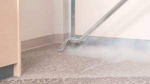 deluxe carpet air duct cleaning does