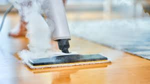 avoid these areas when steam cleaning