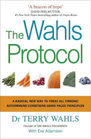 the wahls protocol ebook dr terry