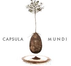 Bildresultat för capsula mundi eco coffin