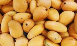 Is mango good for anxiety?