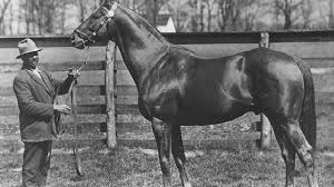 man o war the greatest horse that never ran the cky derby