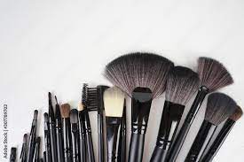 view of professional makeup brushes