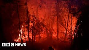 Indonesia Haze Why Do Forests Keep