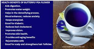 health benefits of erfly pea flower