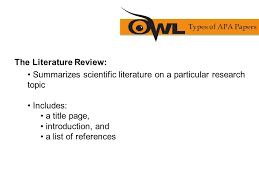 literature review format in apa 