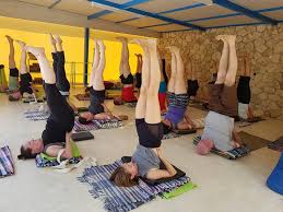 about our yoga holidays xenoyoga
