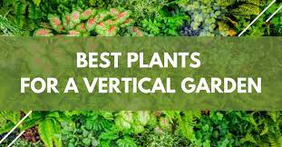 The Best Plants For A Vertical Garden