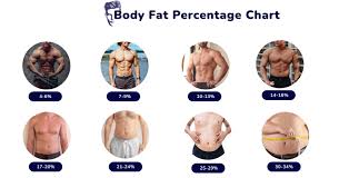 body fat percene chart for men