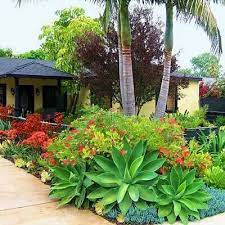 440 Best Tropical Garden Design Ideas