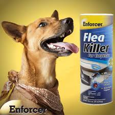 enforcer flea for carpets 20