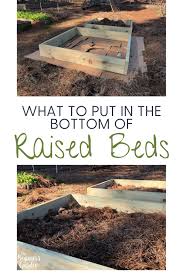 Raised Beds