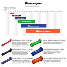 Rogue Fitness Band Tension Chart All Photos Fitness