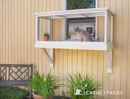Discover the best cat window perches in best sellers. Is It Easy To Build A Window Box Enclosure For My Cat Catio Spaces