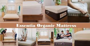 The appeal of the nectar doesn't just stem from its affordable price point. Essentia Organic Mattress Reviews 2020