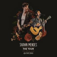 Shawn Mendes Adds 2019 World Tour Dates Ticket Presale Code