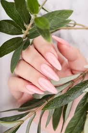 holy nails and spa professional nail care