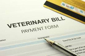 There are products out there that are suitable for you, including pet loans for bad credit. Getting Help To Pay Vet Bills Thriftyfun