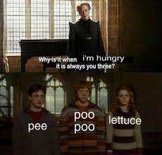 Harry Potter and the goblet of pee pee : r/comedyheaven