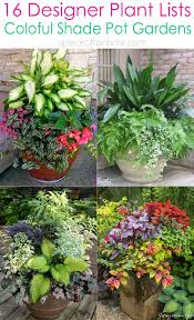 16 colorful shade garden pots plant