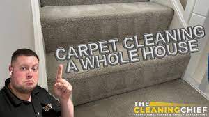 whole house carpet clean bedford s