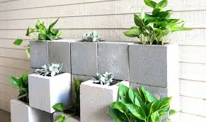 A Diy Cinder Block Succulent Wall With