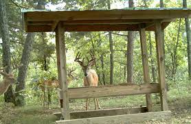 summer project idea diy deer feeder