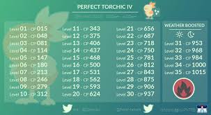 Perfect Torchic Iv For Upcoming Community Day Thesilphroad
