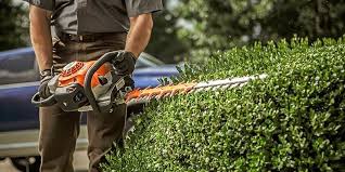 how to sharpen a hedge trimmer hutson inc