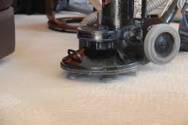 grey bruce carpet cleaning specialists