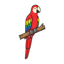 cute and simple parrot vector ilration