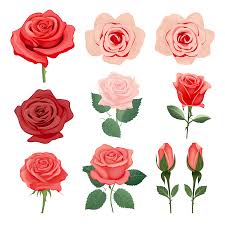 ai generated romantic red rose in full