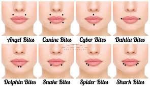 Types Of Lip Piercing Combinations Bites Lip Piercings