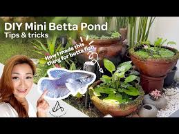Simple Diy Mini Patio Pond How To Make