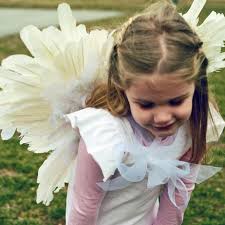feathered angel or fairy wings