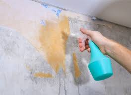 The Best Way To Remove Wallpaper Of All