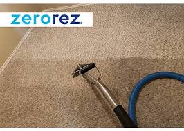 3 best carpet cleaners in charlotte nc
