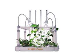 Indoor Hydroponic Gardening Systems