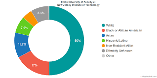 New Jersey Institute Of Technology Diversity Racial
