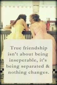 True friendship quote for friends. 63 Best Friendship Quotes Ideas Friends Quotes Friendship Quotes Best Friend Quotes