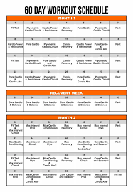 pdf insanity workout calendar for 60