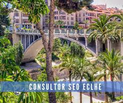 From the visitor point of view the city is renowed for its palm trees: Consultor Seo Elche Rubenranking