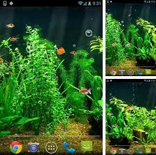 Android Aquariums Live Wallpapers